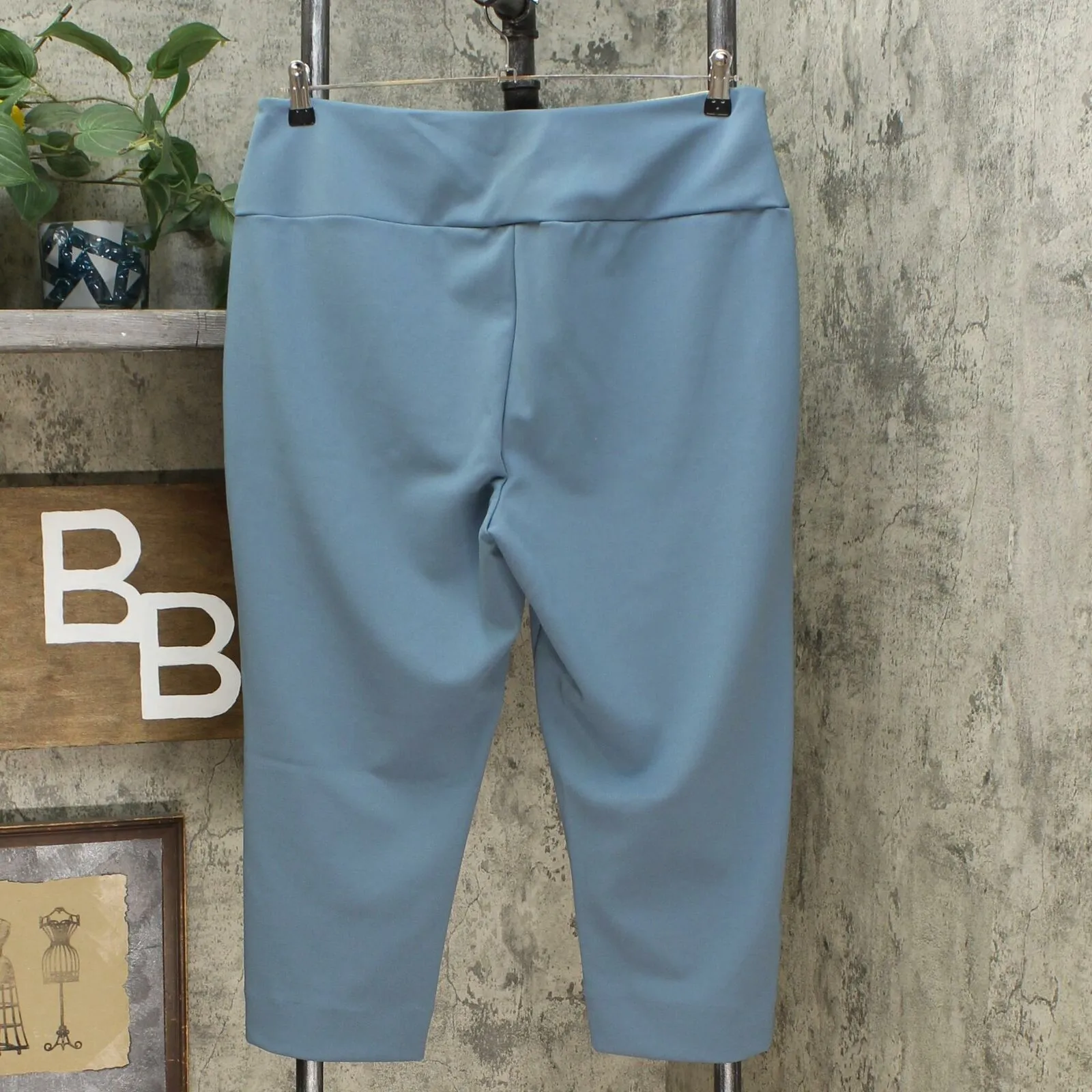 Antthony Women's Boss Lady Tummy Smoothing Pedal Pusher Pants
