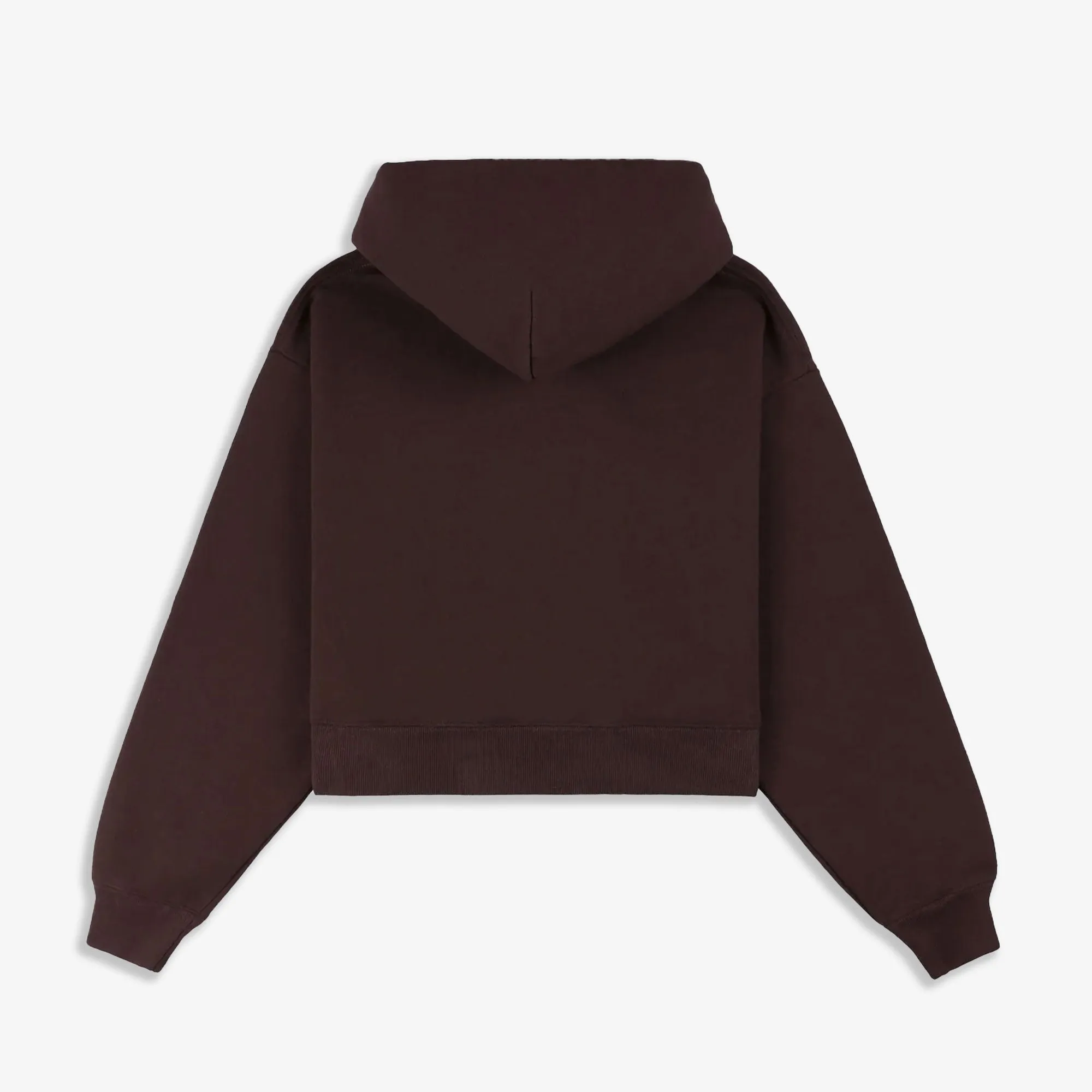 SPORTY & RICH | H&W CREST CROPPED HOODIE { BROWN