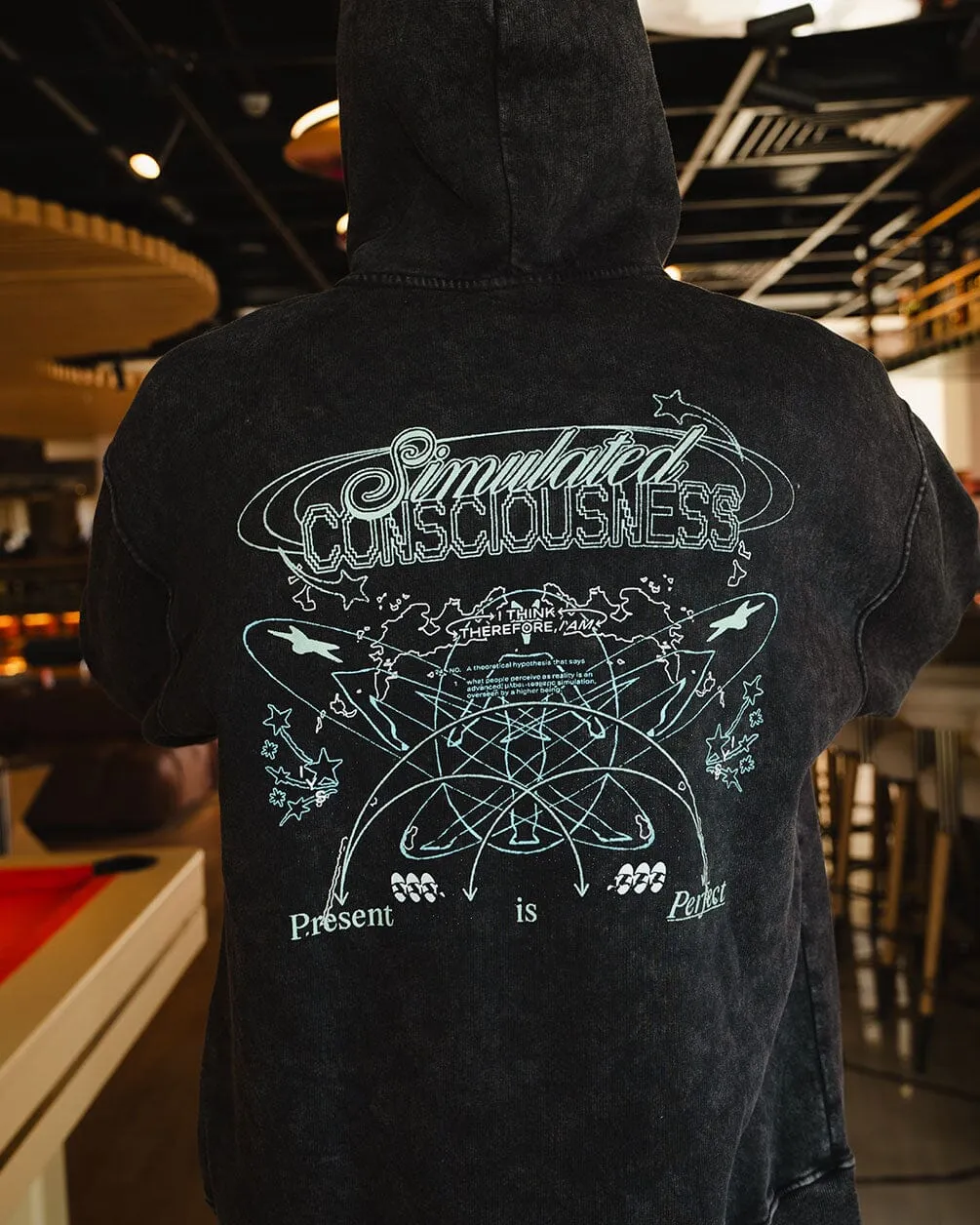 Stimulated Consciousness Washed Hoodie